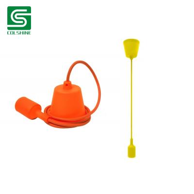 Flexible pendant light