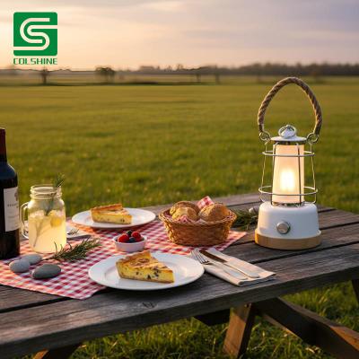 Table light with dimmer