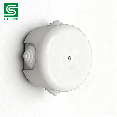 Porcelain Ceiling Rose E27